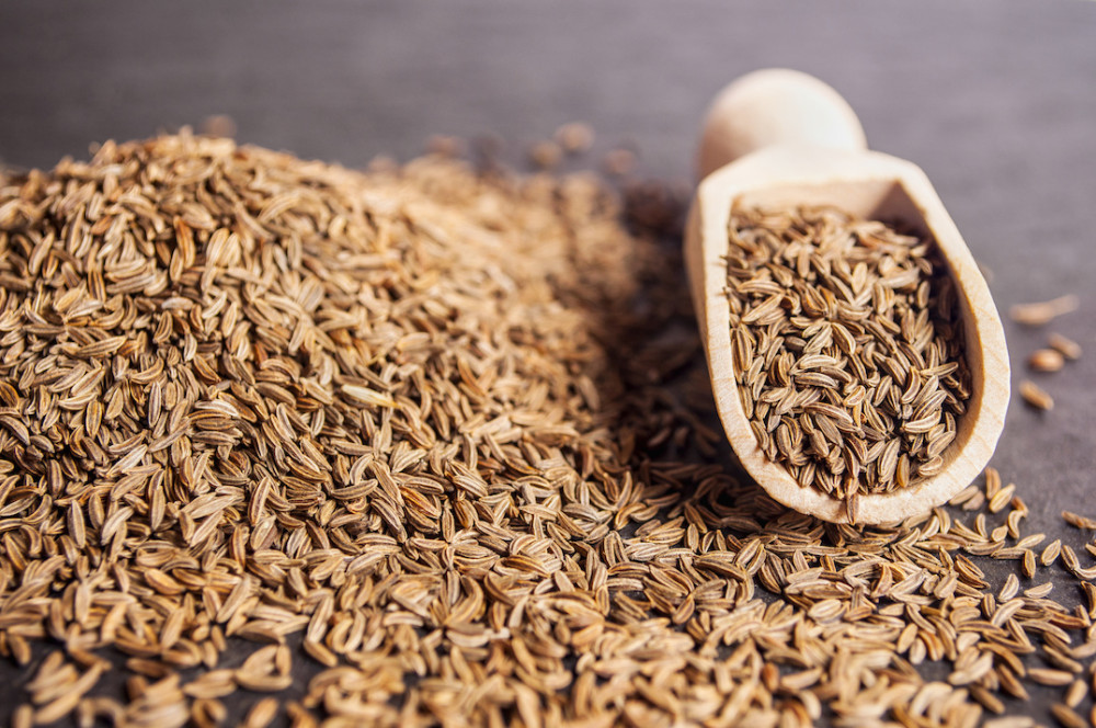 Coriander Vs. Cumin SPICEography Showdown