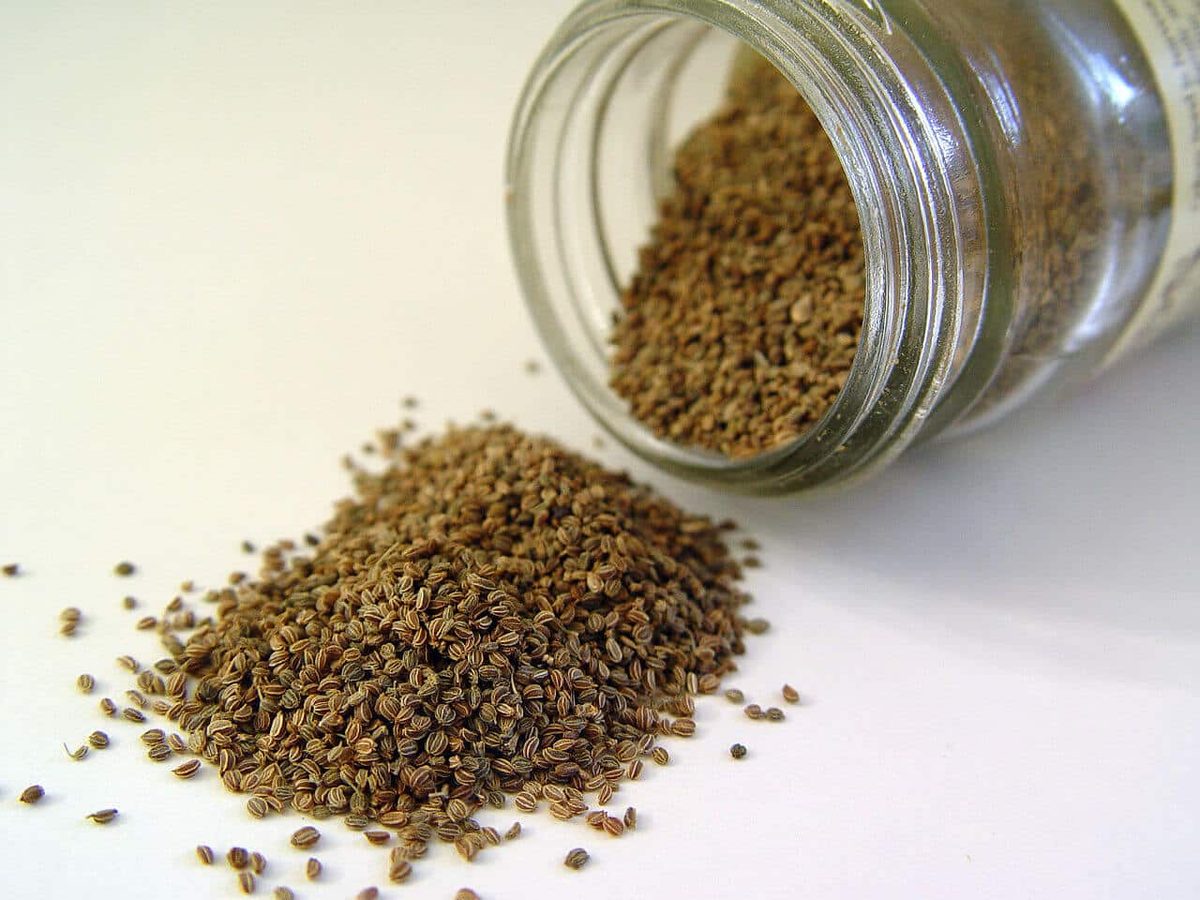 Celery Seeds