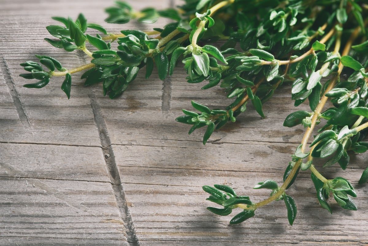 cooking with thyme