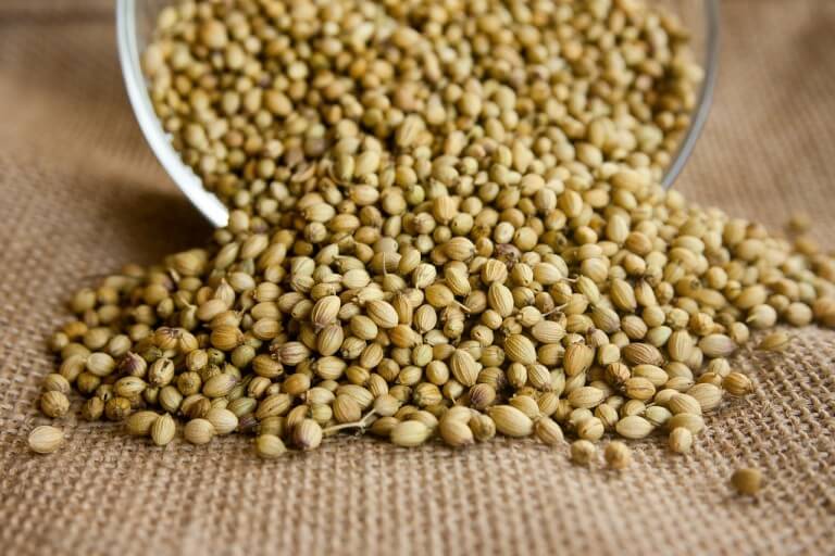 Coriander Vs. Cumin SPICEography Showdown SPICEography