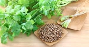 Coriander Vs. Cilantro - How Do They Compare?