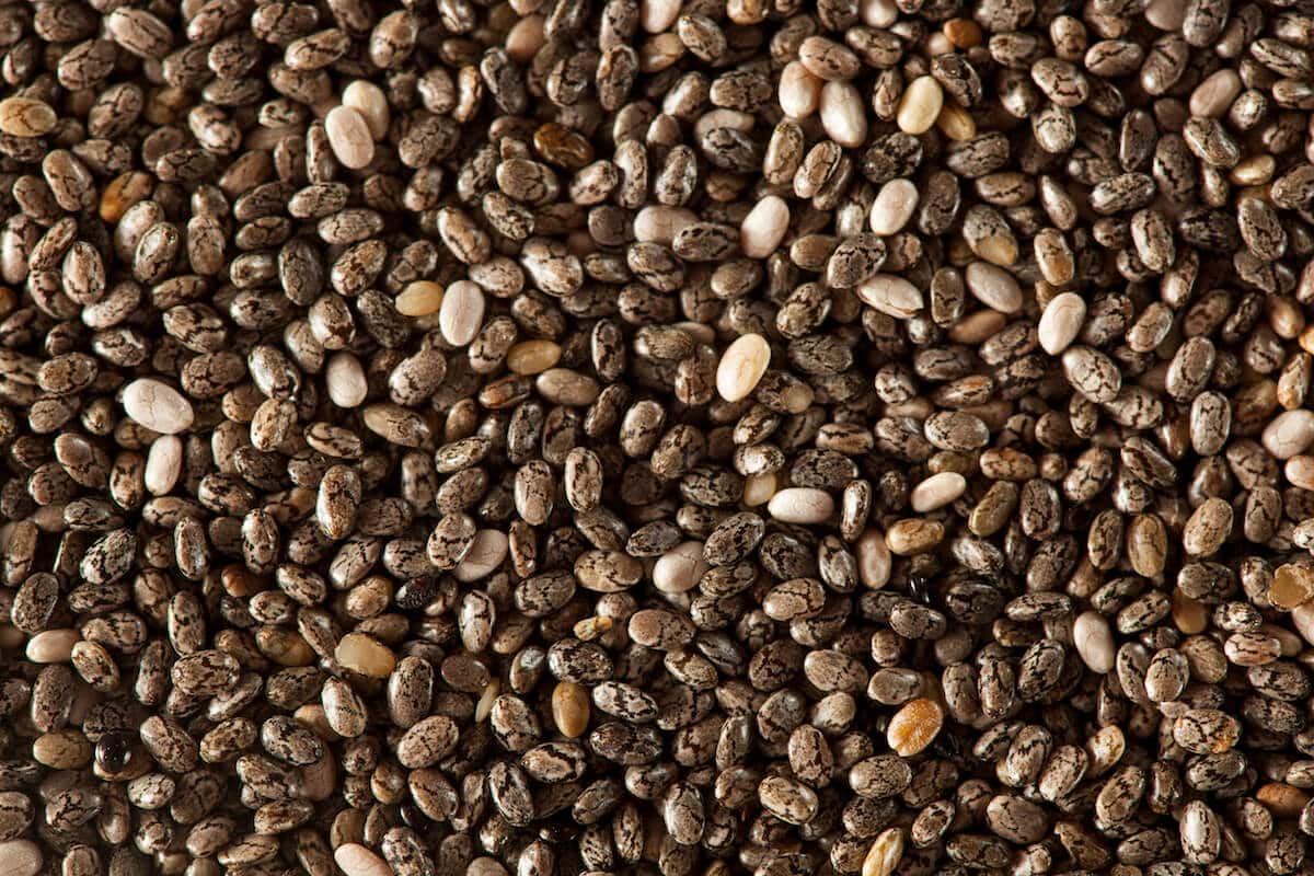 chia-seeds-superfood-of-the-aztecs