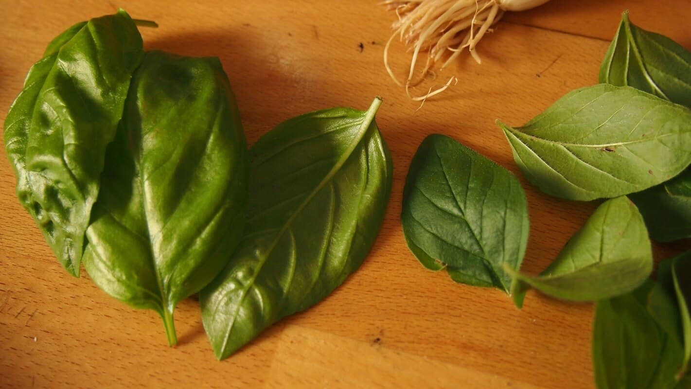 Too Much Basil? Here's How To Fix It