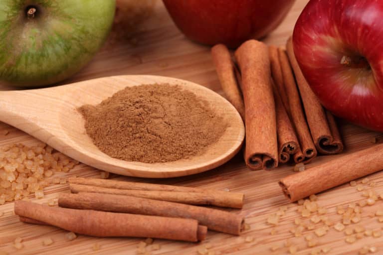 what-s-a-good-apple-pie-spice-substitute