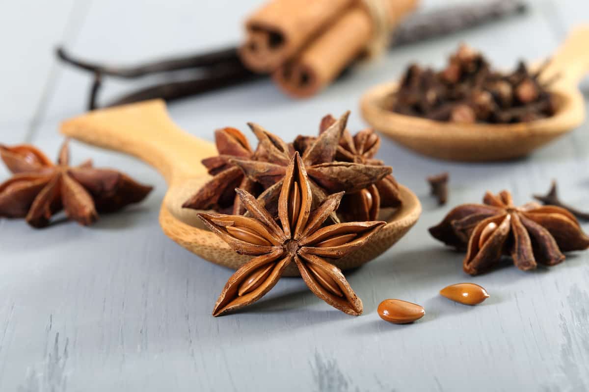 Star Anise And Ginger Braised Chicken | Leite's Culinaria