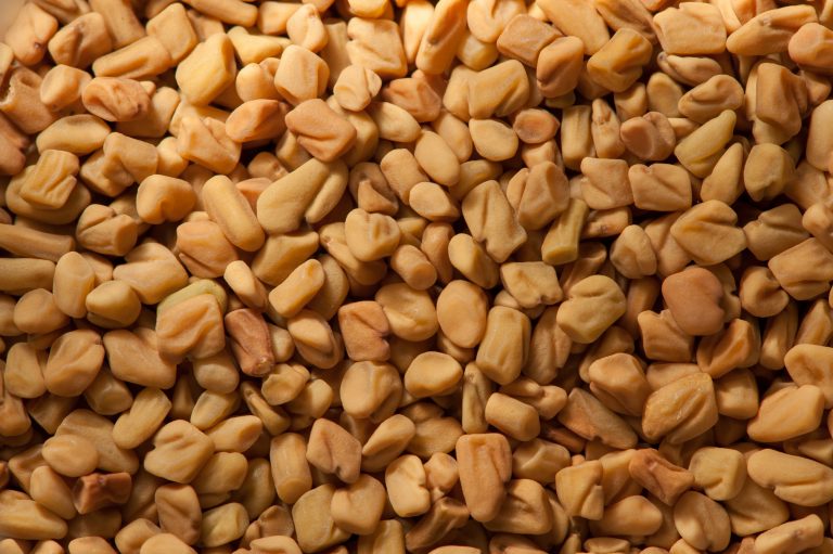Fenugreek Vs. Fennel Seed SPICEography Showdown