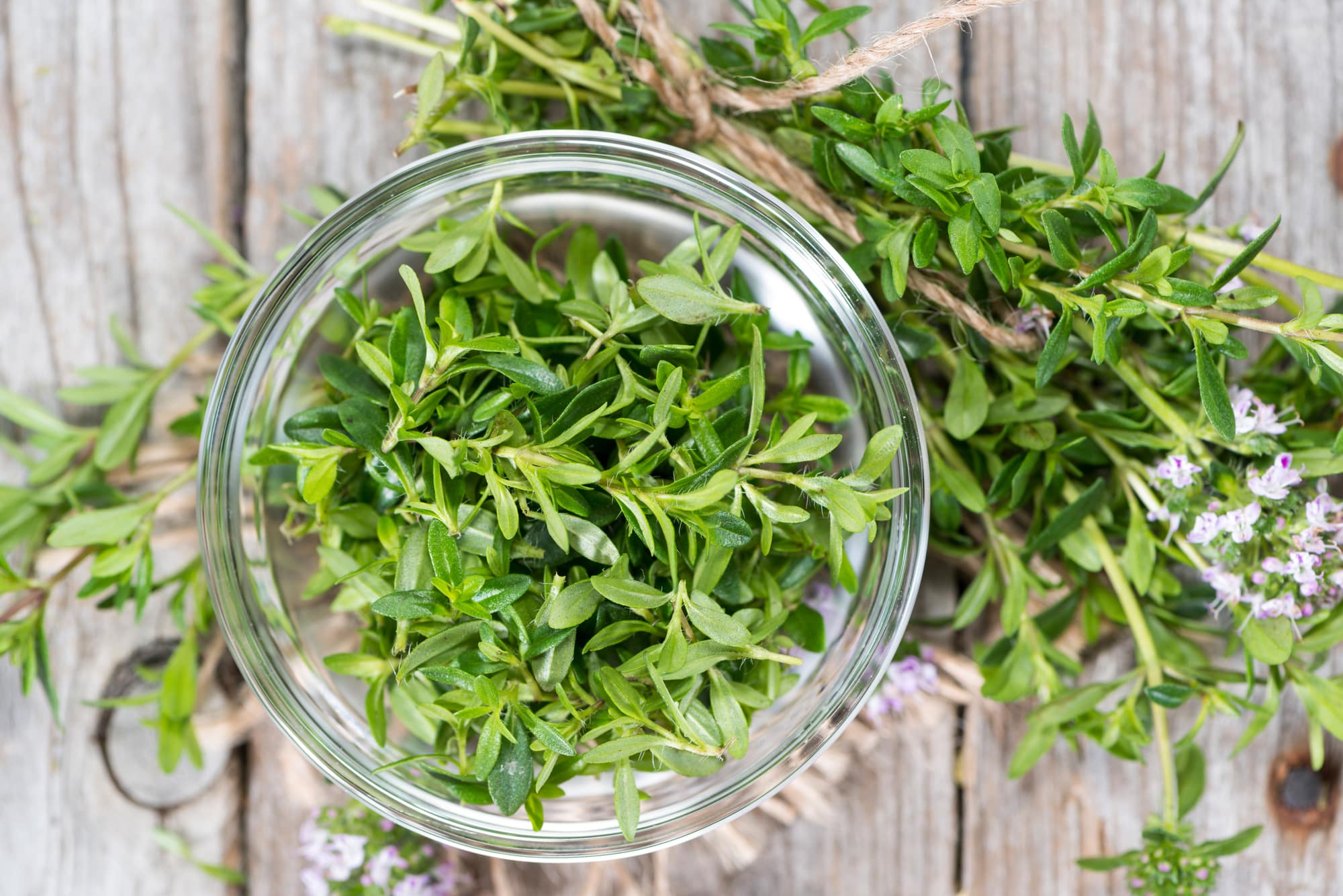 Summer Savory Vs Winter Savory: SPICEography Showdown Summer Savory Vs Winter Savory: SPICEography Showdown