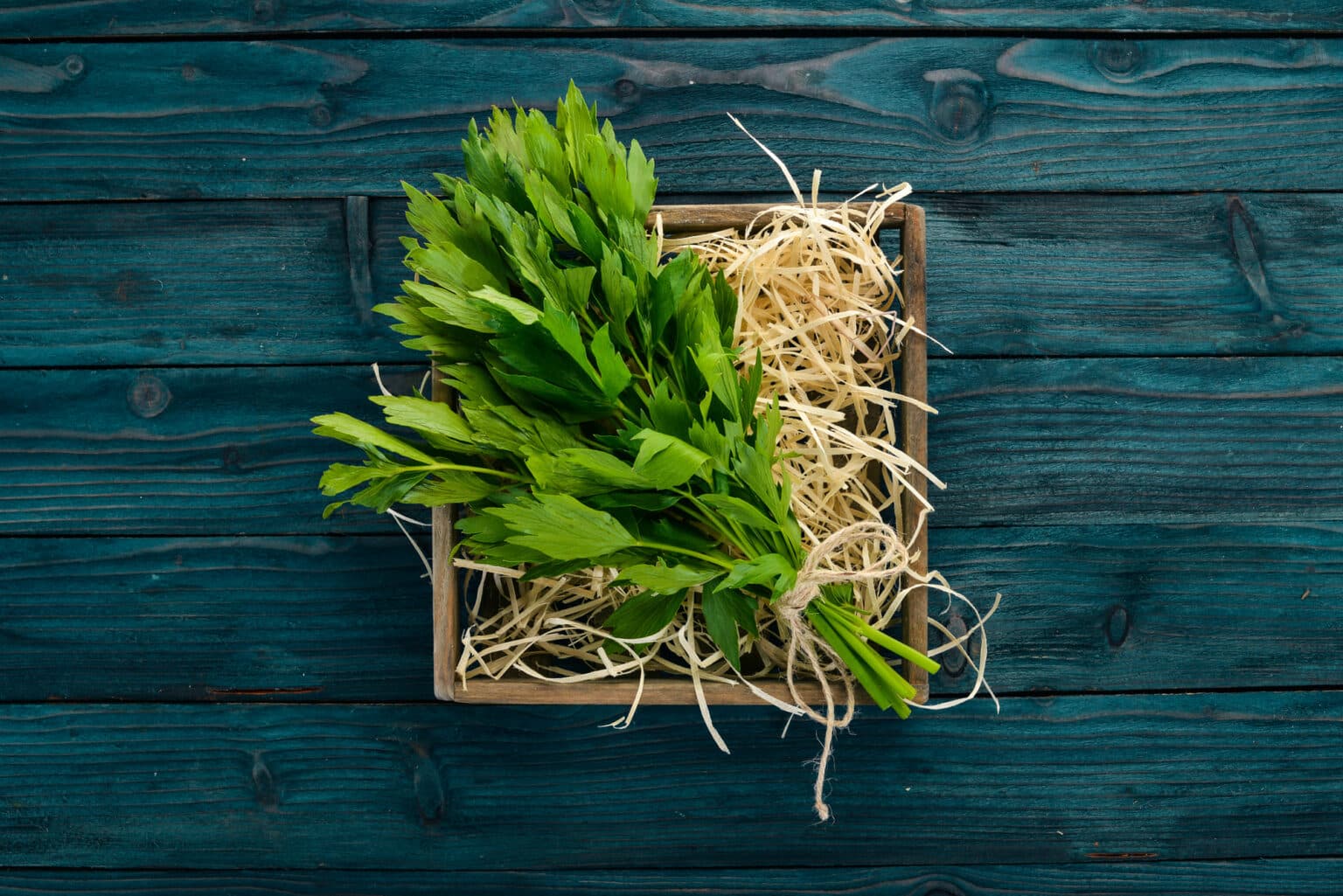Seven Tasty (And Healthy) Celery Leaves Uses