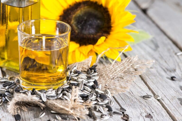 Canola Oil Vs. Sunflower Oil SPICEography Showdown
