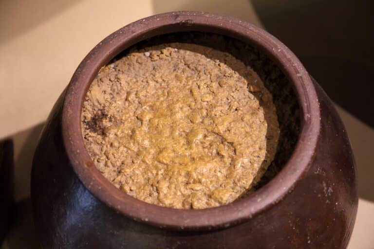 Doenjang Guide History Flavor Benefits Uses SPICEography