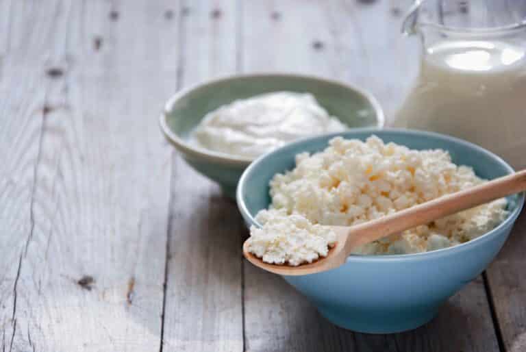 Cottage Cheese Vs. Greek Yogurt SPICEography Showdown