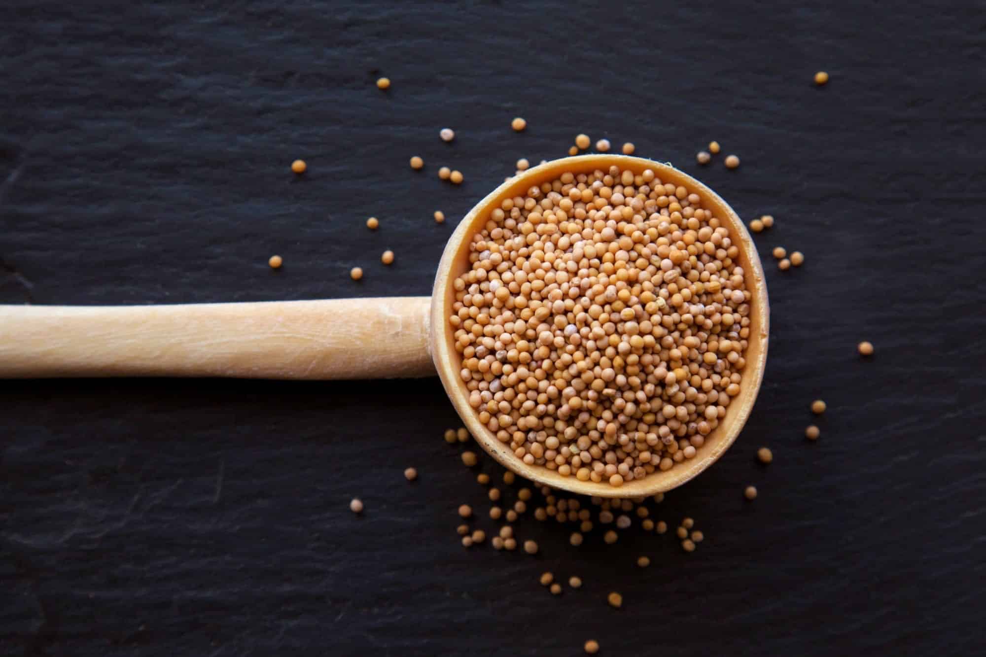 Seven Tasty Celery Seed Uses