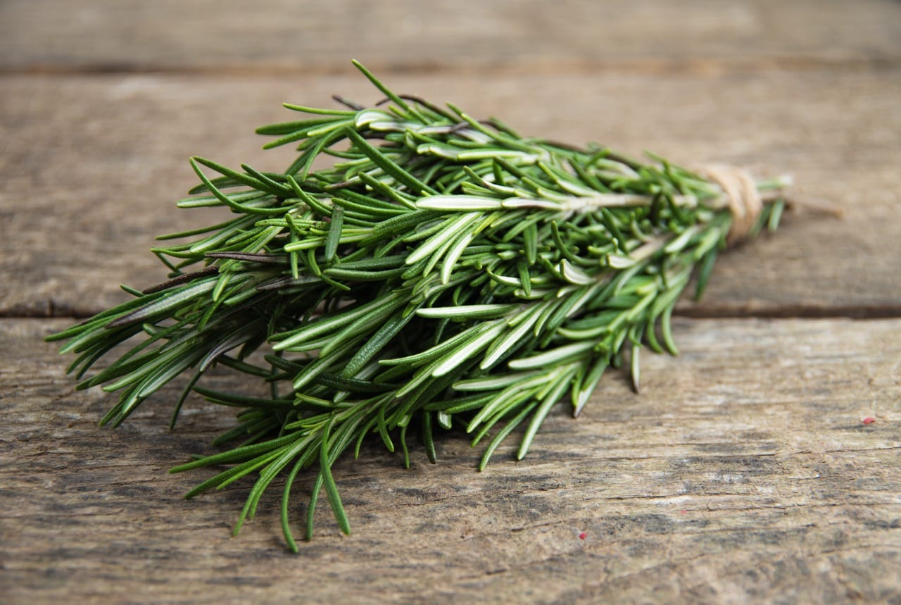 Rosemary: A Culinary Companion Guide